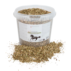 Complément équitation Échinacée pour immunité cheval Complément équitation Échinacée pour immunité cheval