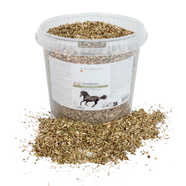 Complément équitation Échinacée pour immunité cheval Complément équitation Échinacée pour immunité cheval