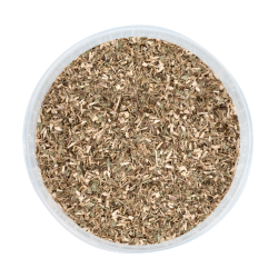 Complément équitation Échinacée pour immunité cheval Complément équitation Échinacée pour immunité cheval