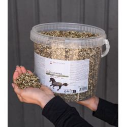 Complément équitation Échinacée pour immunité cheval Complément équitation Échinacée pour immunité cheval