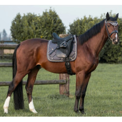 Tapis de Selle Dressage Night Collection Back On Track Gris Tapis de Selle Dressage Night Collection Back On Track Gris