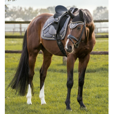Tapis de Selle Dressage Night Collection Back On Track Tapis de Selle Dressage Night Collection Back On Track