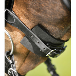 Coussin antidérapant pour muserolle d'équitation