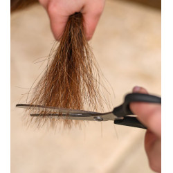 Ciseaux Waldhausen crinière et queue easy cut Noir Ciseaux Waldhausen crinière et queue easy cut Noir