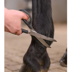 Ciseaux courbés équitation Waldhausen inox Ciseaux courbés équitation Waldhausen inox