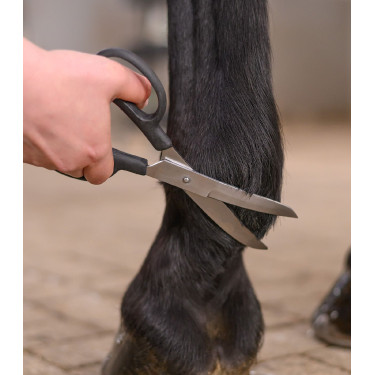 Ciseaux courbés équitation Waldhausen inox Ciseaux courbés équitation Waldhausen inox
