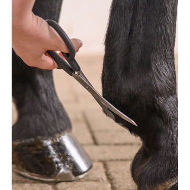 Ciseaux courbés équitation Waldhausen inox Ciseaux courbés équitation Waldhausen inox