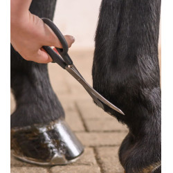 Ciseaux courbés équitation Waldhausen inox Ciseaux courbés équitation Waldhausen inox