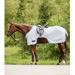 Chemise anti-mouche Waldhausen Protect Gris argent / gris