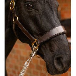 Chaîne d’attache équitation Waldhausen 55 cm