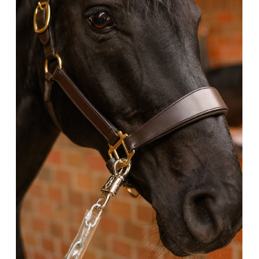 Chaîne d’attache équitation Waldhausen 150 cm