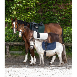 Tapis de selle Waldhausen Felix Blanc Tapis de selle Waldhausen Felix Blanc