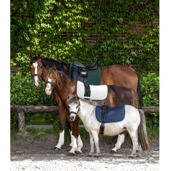Tapis de selle Waldhausen Felix Bleu nocturne
