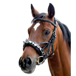 Caveçon d'équitation en cuir Waldhausen