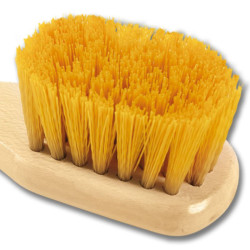 Brosse pour sabots cheval Waldhausen – Équitation