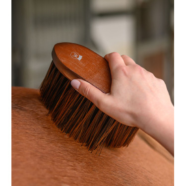 Brosse équitation douce Waldhausen pour poussière