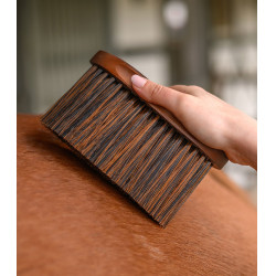 Brosse équitation douce Waldhausen pour poussière
