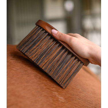 Brosse équitation douce Waldhausen pour poussière