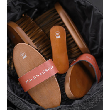 Brosse équitation douce Waldhausen pour poussière