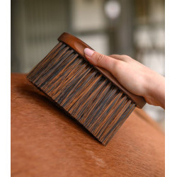 Brosse équitation douce Waldhausen pour poussière