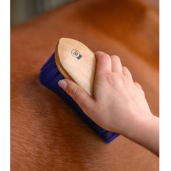 Brosse Waldhausen Bleu