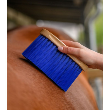 Brosse Waldhausen Bleu