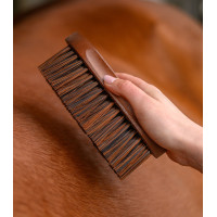 Brosse Waldhausen à crins et queue HarWood Nature Beige Brosse Waldhausen à crins et queue HarWood Nature Beige