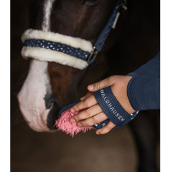 Brosse équitation enfant Waldhausen Lucky