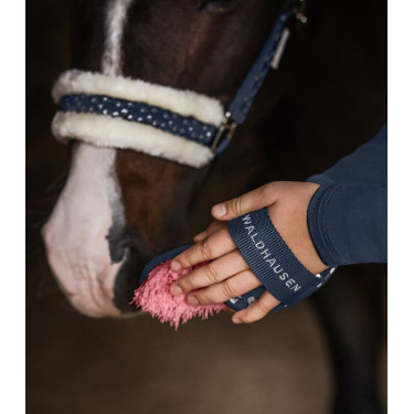 Brosse équitation enfant Waldhausen Lucky