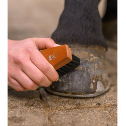 Brosse à sabots Waldhausen HardWood Nature Beige