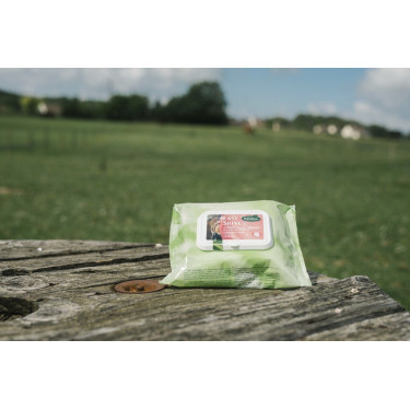 Easy Shine Wipe Ravene Lingettes nettoyantes Easy Shine Wipe Ravene Lingettes nettoyantes
