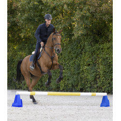 Bloc d’obstacle Cavaletti Waldhausen Bleu Bloc d’obstacle Cavaletti Waldhausen Bleu