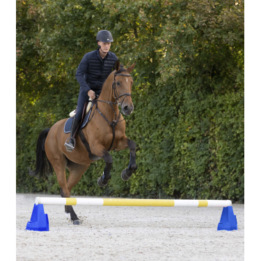 Bloc d’obstacle Cavaletti Waldhausen Bleu Bloc d’obstacle Cavaletti Waldhausen Bleu