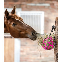 Balle à foin pour cheval – Stimulation et bien-être Balle à foin pour cheval – Stimulation et bien-être