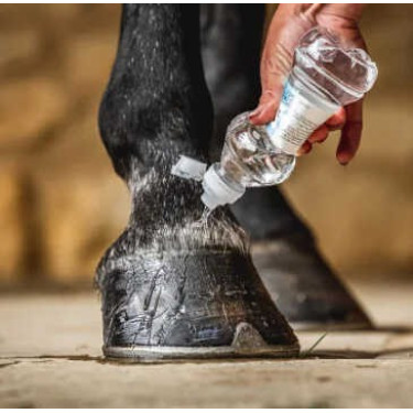 Huile imperméabilisante pour sabots sensibles - Équitation Huile imperméabilisante pour sabots sensibles - Équitation