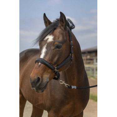 Licol Equithème Nylon Strass - Élégance et Confort