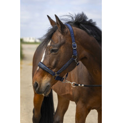 Licol Equithème Nylon Strass - Élégance et Confort