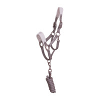 Licol technique avec double réglage et boucles revêtues de caoutchouc Equestro Antler / violet feutré Licol technique avec double réglage et boucles revêtues de caoutchouc Equestro Antler / violet feutré