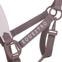 Licol technique avec double réglage et boucles revêtues de caoutchouc Equestro Antler / violet feutré Licol technique avec double réglage et boucles revêtues de caoutchouc Equestro Antler / violet feutré