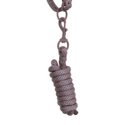 Licol technique avec double réglage et boucles revêtues de caoutchouc Equestro Antler / violet feutré Licol technique avec double réglage et boucles revêtues de caoutchouc Equestro Antler / violet feutré
