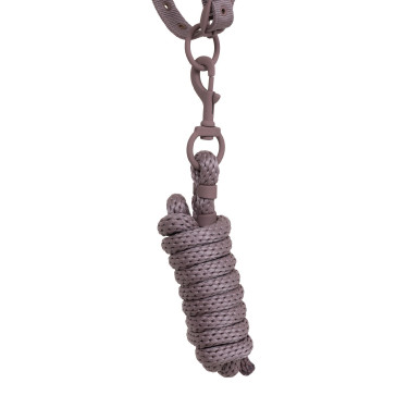 Licol technique avec double réglage et boucles revêtues de caoutchouc Equestro Antler / violet feutré Licol technique avec double réglage et boucles revêtues de caoutchouc Equestro Antler / violet feutré