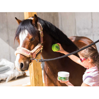 Gel répulsif chevaux Émouchine Ravene + éponge Gel répulsif chevaux Émouchine Ravene + éponge
