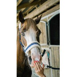 Crème solaire pour chevaux Sun Protec Ravene UV-A/UV-B Crème solaire pour chevaux Sun Protec Ravene UV-A/UV-B