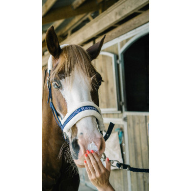 Crème solaire pour chevaux Sun Protec Ravene UV-A/UV-B Crème solaire pour chevaux Sun Protec Ravene UV-A/UV-B