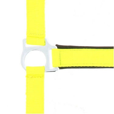 Licol Norton Fluo doublé pour cheval
