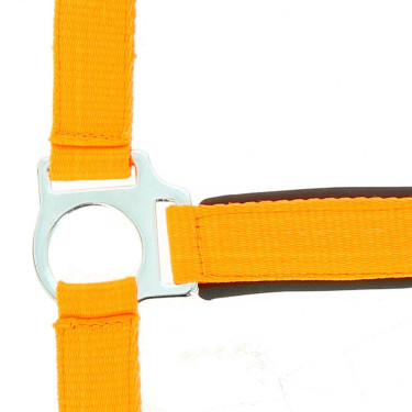 Licol Norton Fluo doublé pour cheval