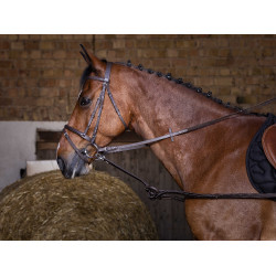 Enrênement caoutchouc Riding World pour cheval