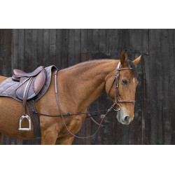 Enrênement élastique réglable pour cheval