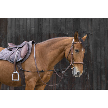 Enrênement élastique réglable pour cheval