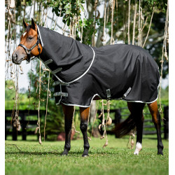 Couverture Amigo Ripstop 900D Stock Horse Plus Turnout 200 g Horseware